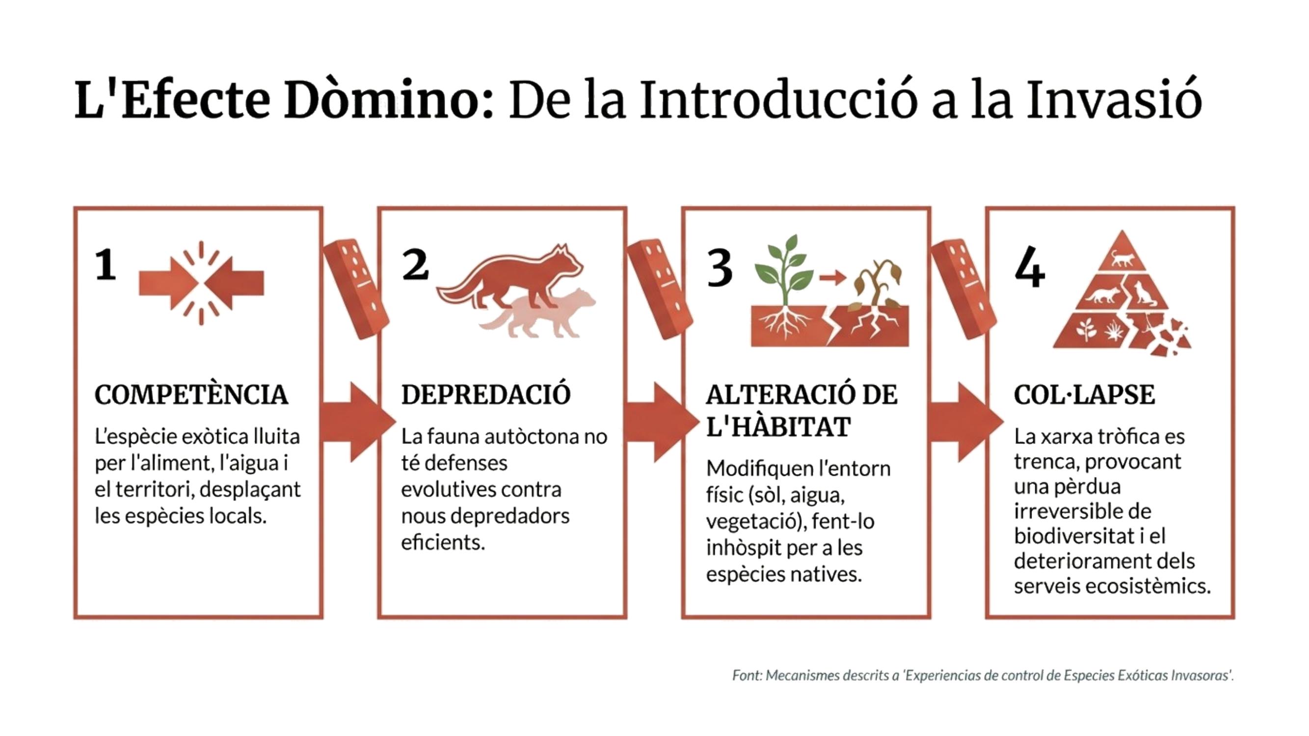 Diapositiva 4