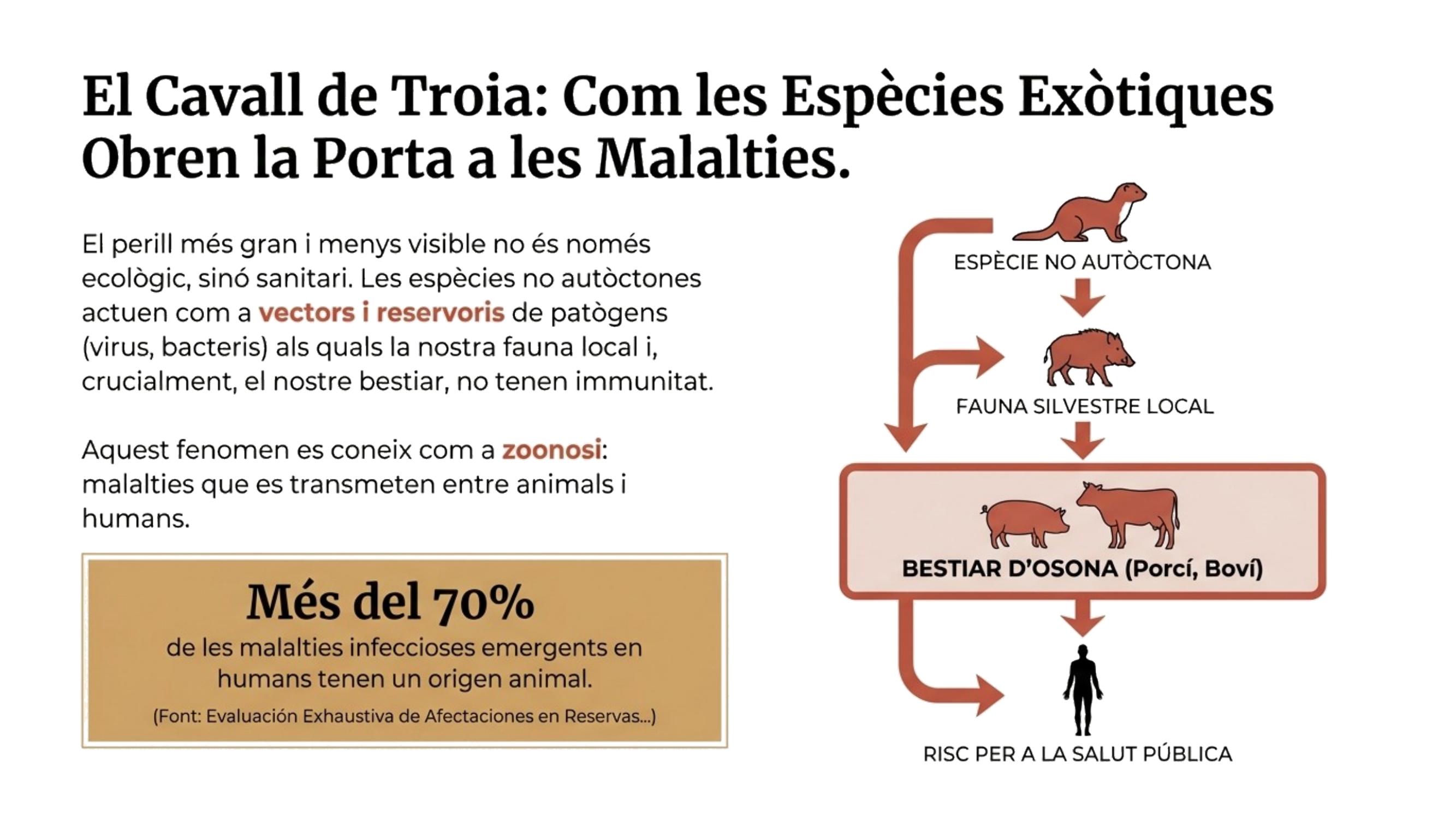 Diapositiva 6