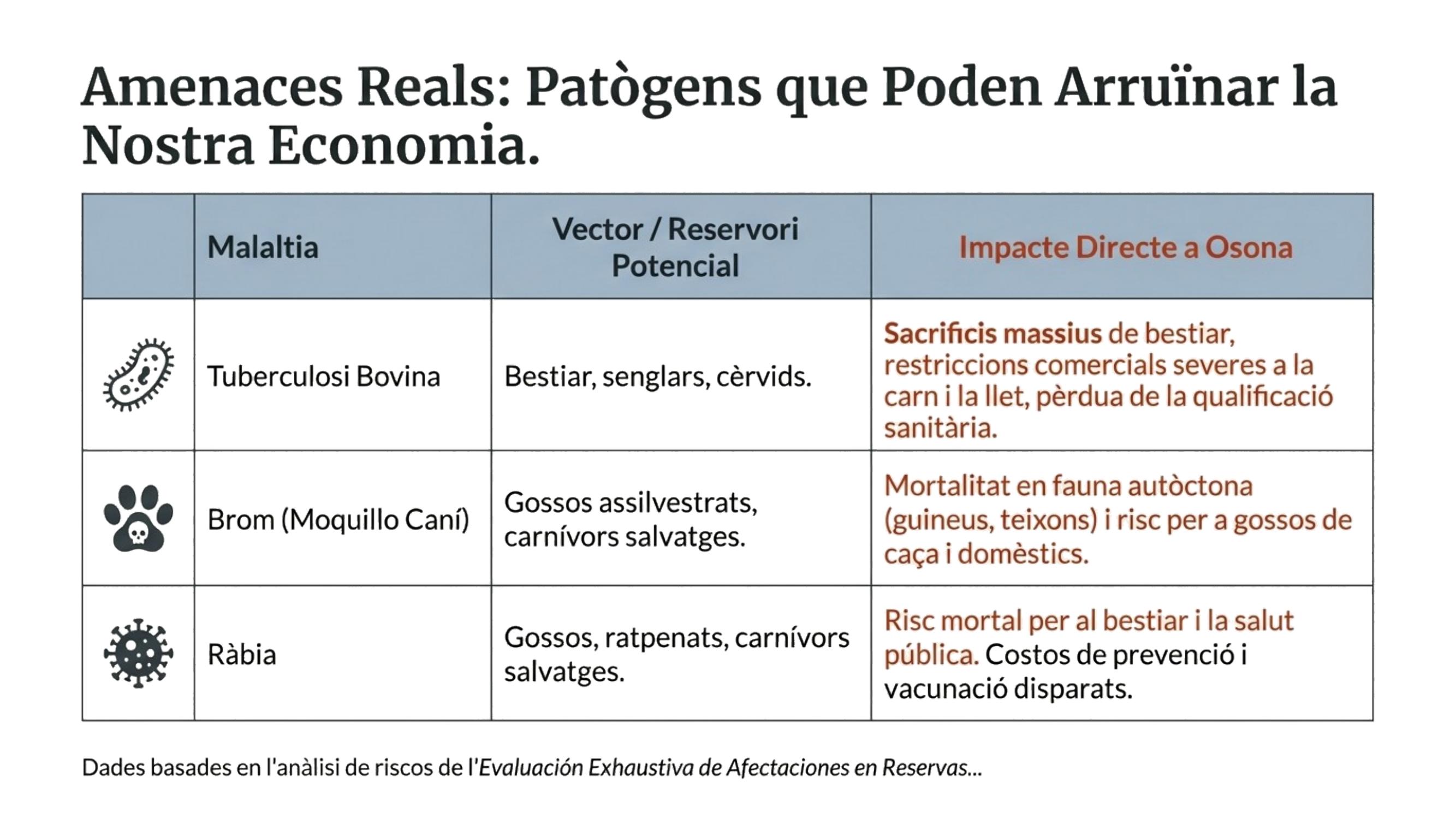 Diapositiva 7